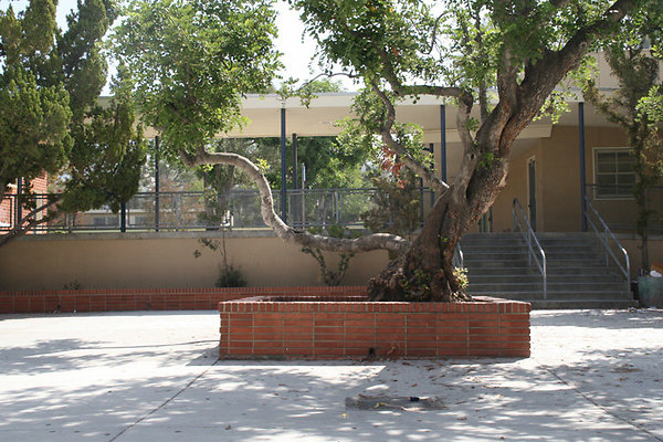 Exterior-Campus-2 Exterior-Campus-2