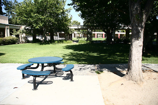 Cafeteria-Outdoor Eating Area-5