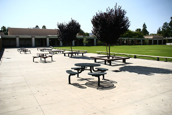 Cafeteria-Outdoor Eating Area-3