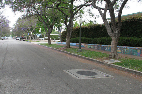 Surrounding Area-2 Surrounding Area-2