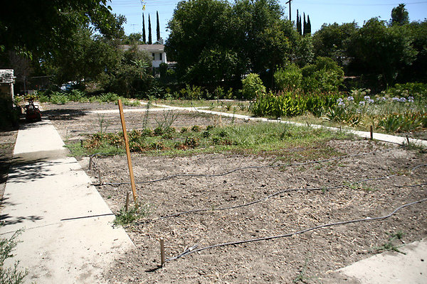 Unique Features-1 Unique Features-1