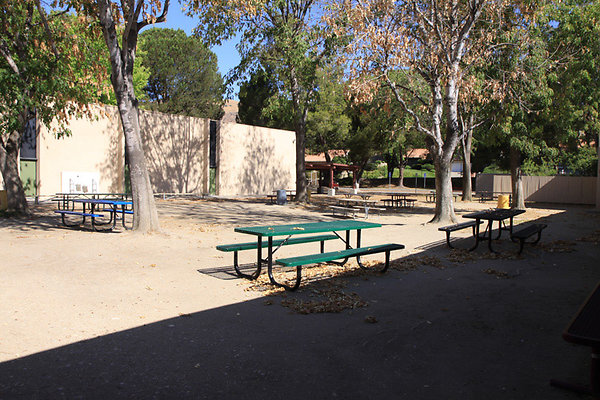 Cafeteria-Outdoor Eating Area-2